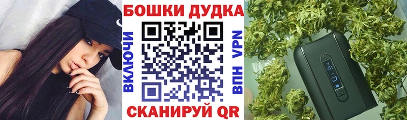 Каннабис план Киржач